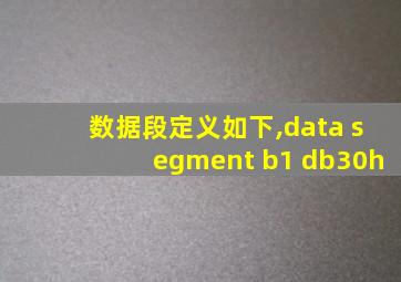 数据段定义如下,data segment b1 db30h